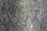 Matlock Bank fibreglass roof work